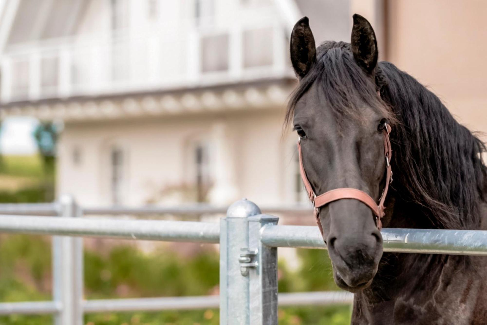 Appartamento Lerchenhof In Reestow Esterno foto