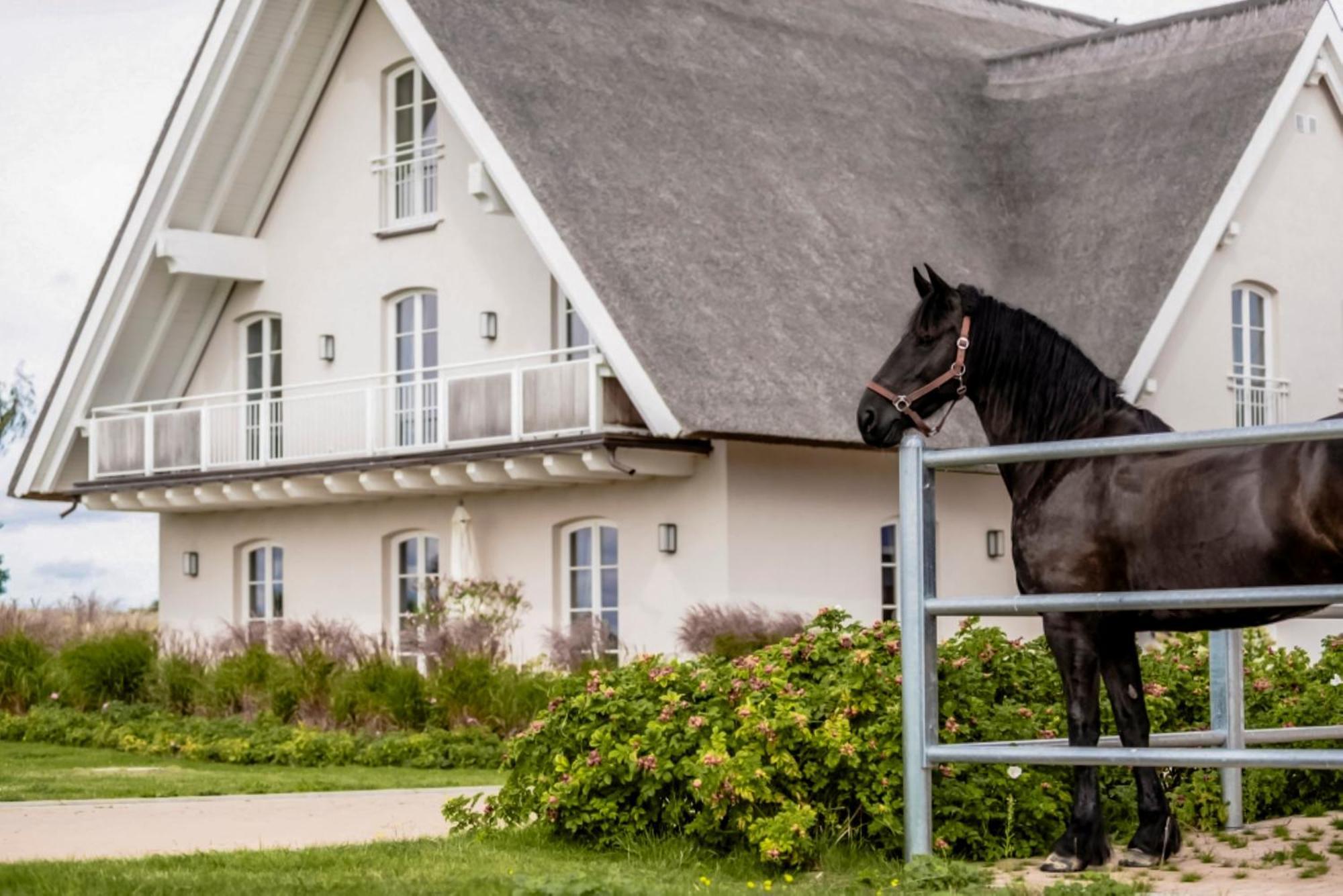 Appartamento Lerchenhof In Reestow Esterno foto